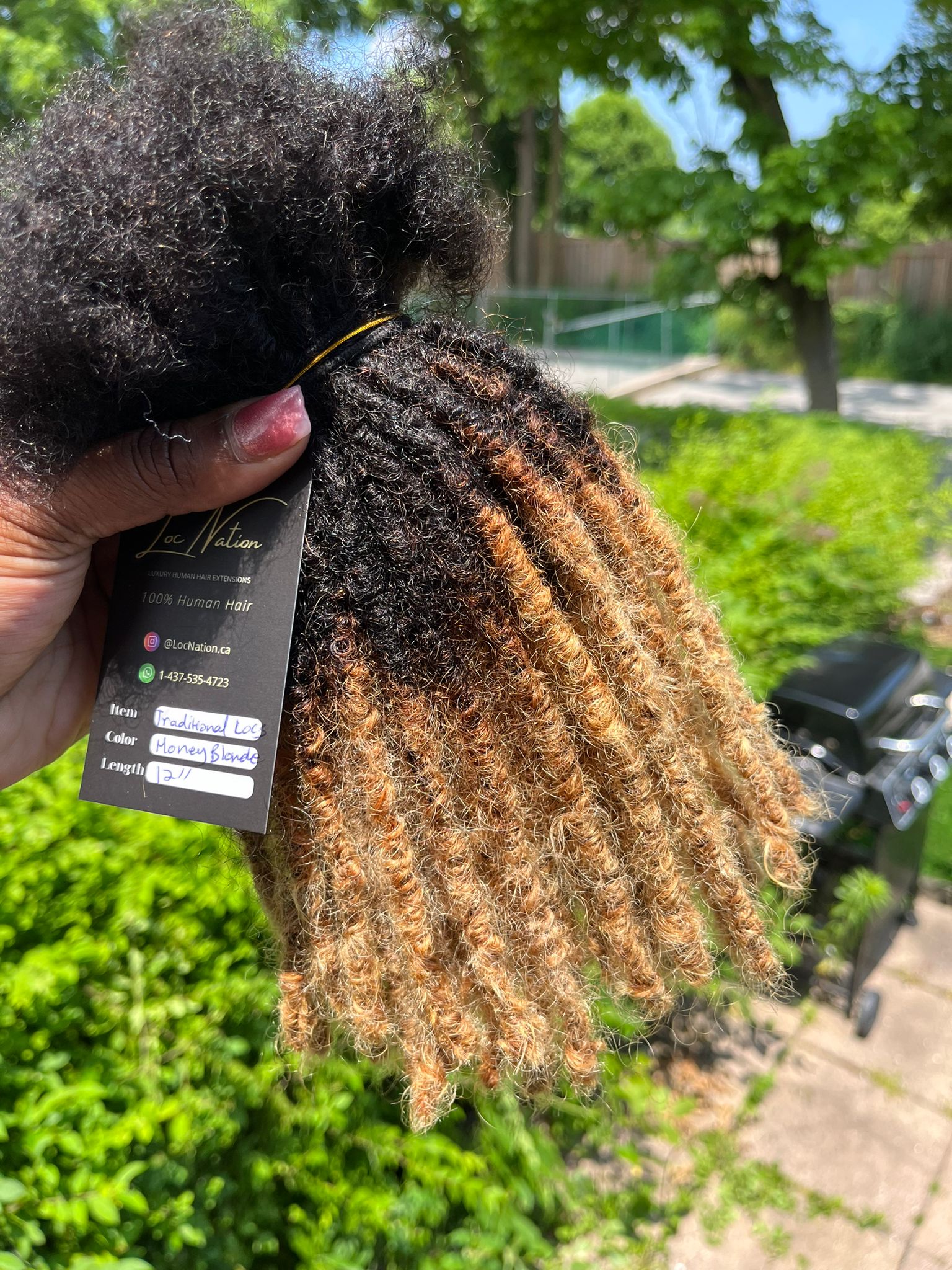(100 Locs) Honey Blonde Traditional Locs