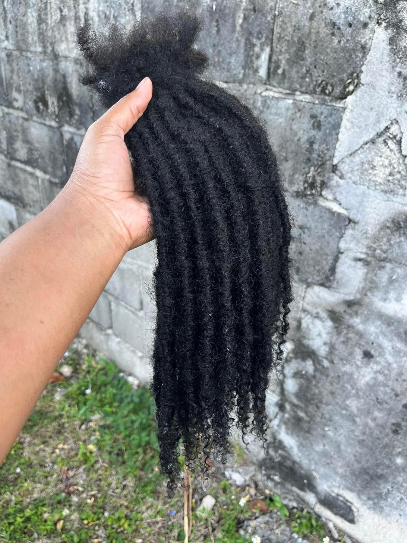 (100 Locs) Black Goddess Locs
