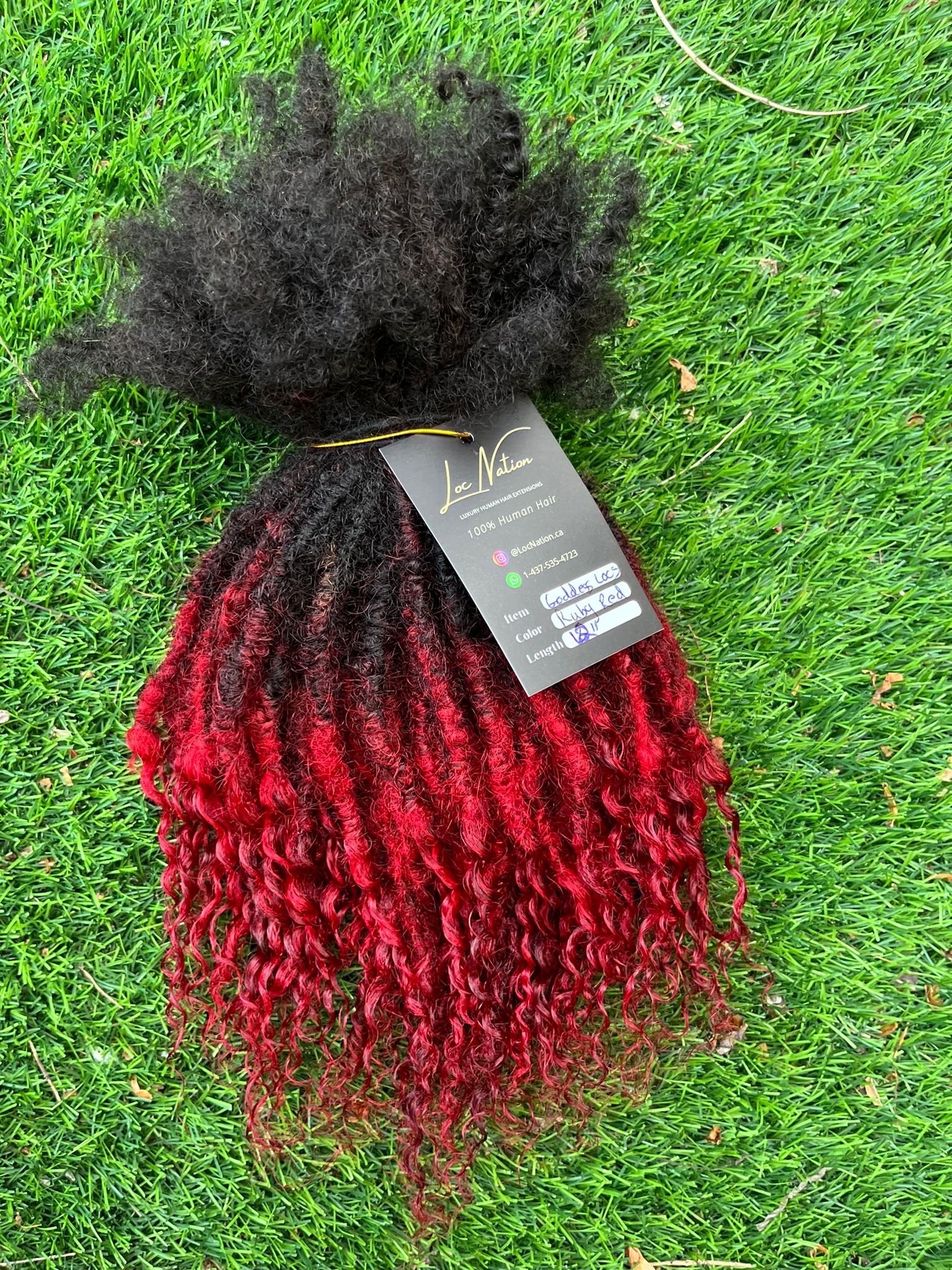 (100 Locs) Ruby Red Goddess Locs
