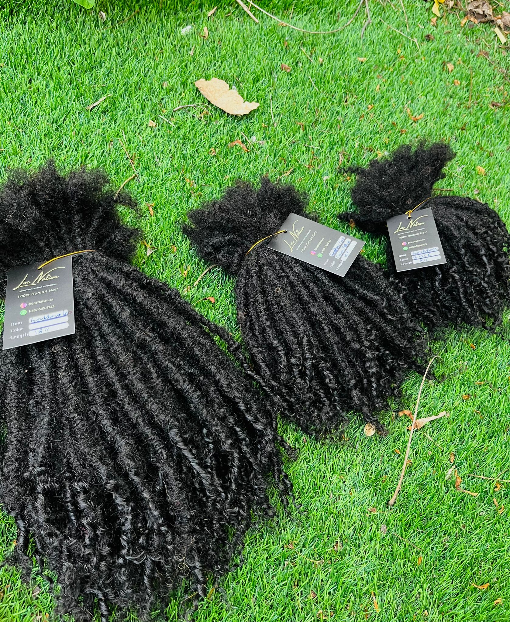 (100 Locs) Black Goddess Locs