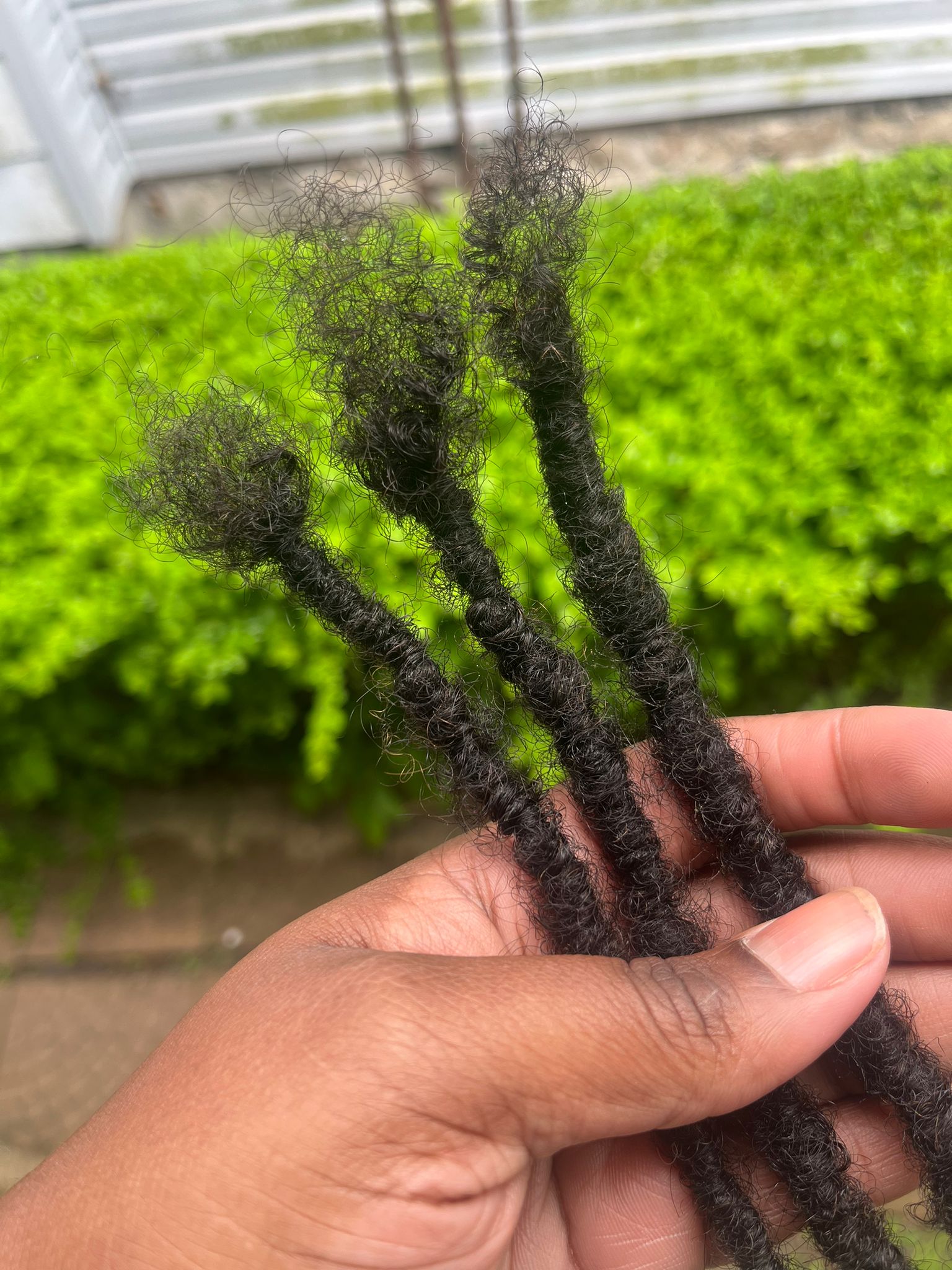 (100 Locs) Black Traditional locs