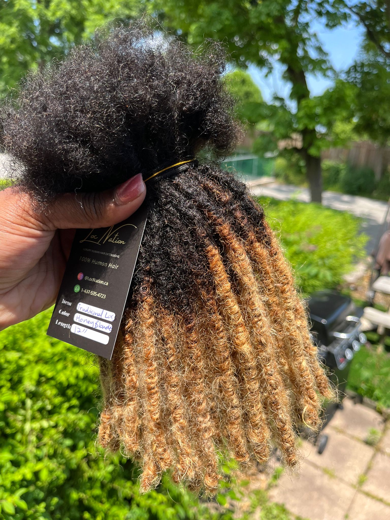 (100 Locs) Honey Blonde Traditional Locs