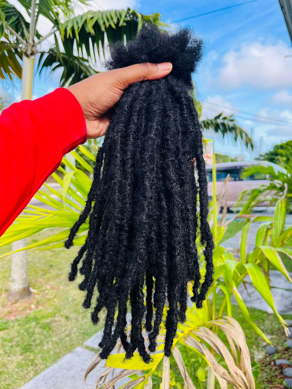 (100 Locs) Black Traditional locs