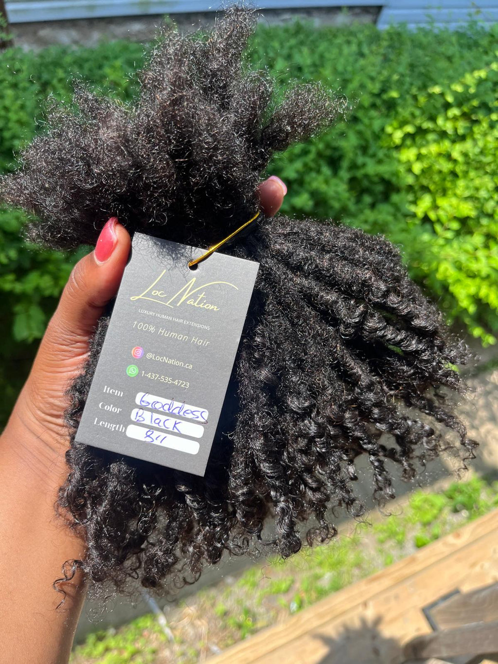 (100 Locs) Black Goddess Locs