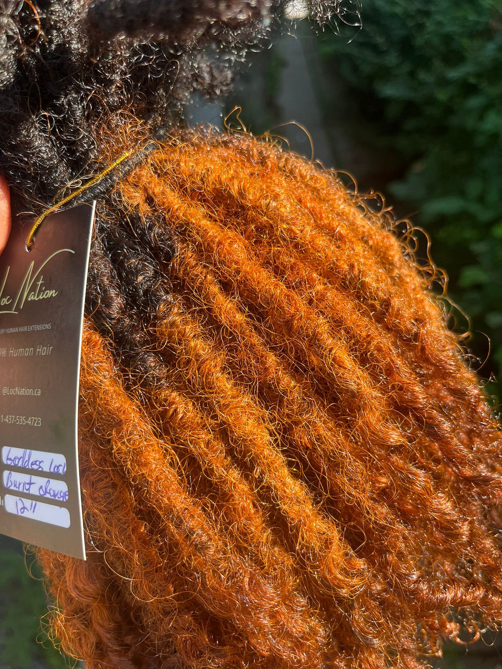 (100 Locs) Burnt Orange Goddess Locs
