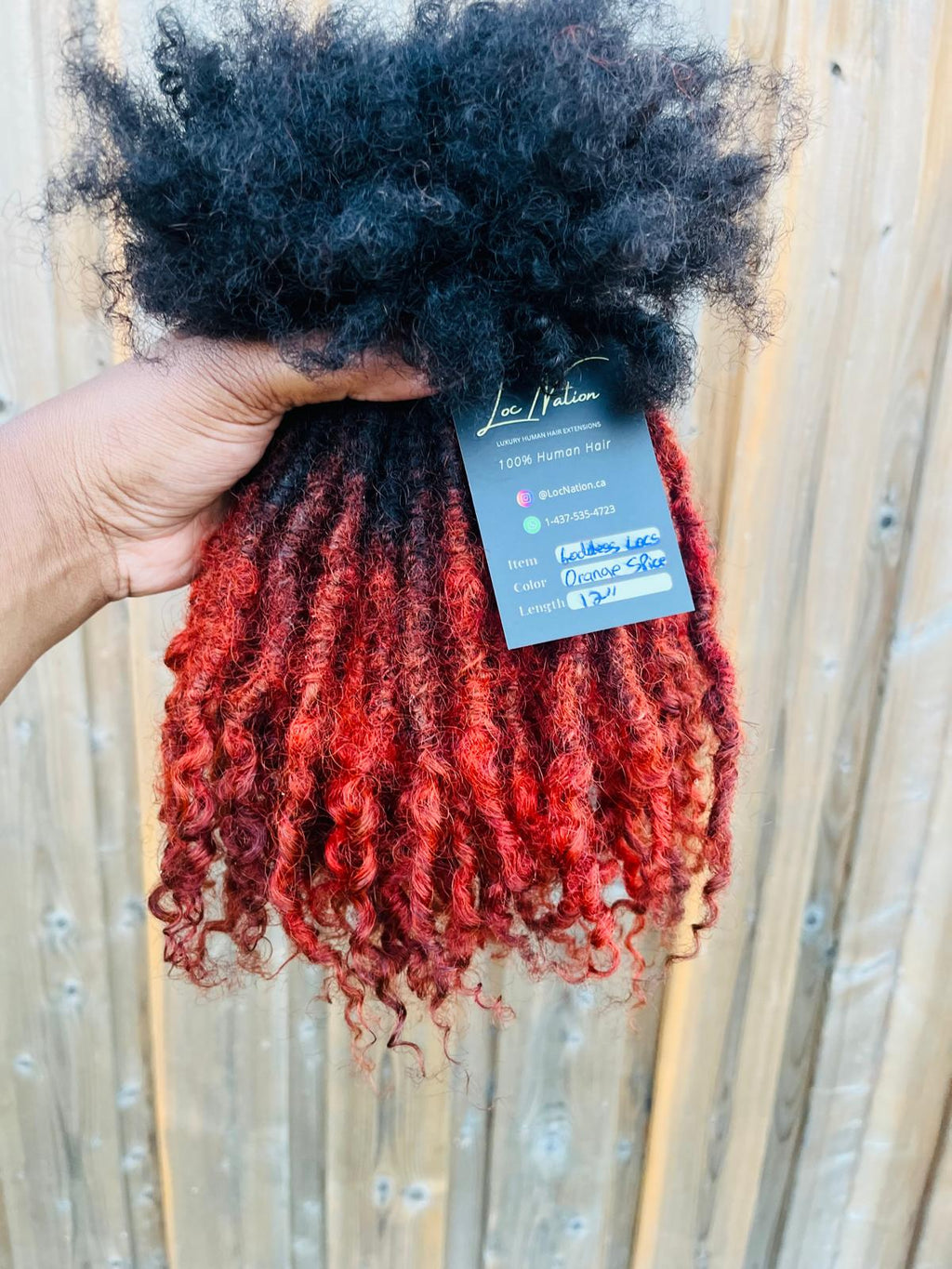 (80 Locs) Orange Spice Goddess Locs