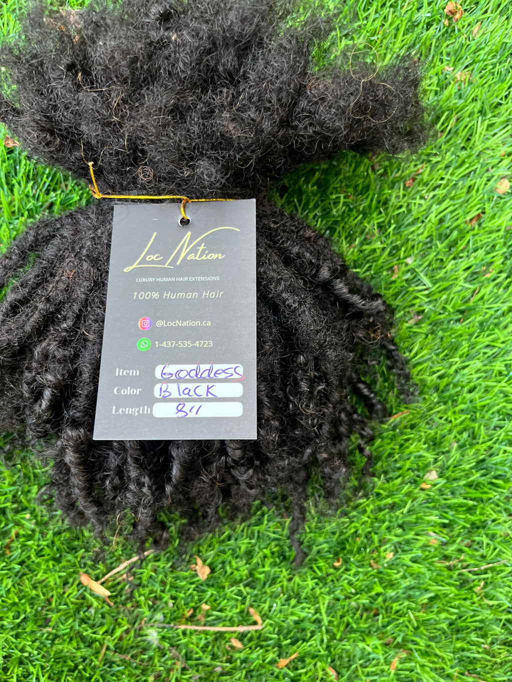 (100 Locs) Black Goddess Locs