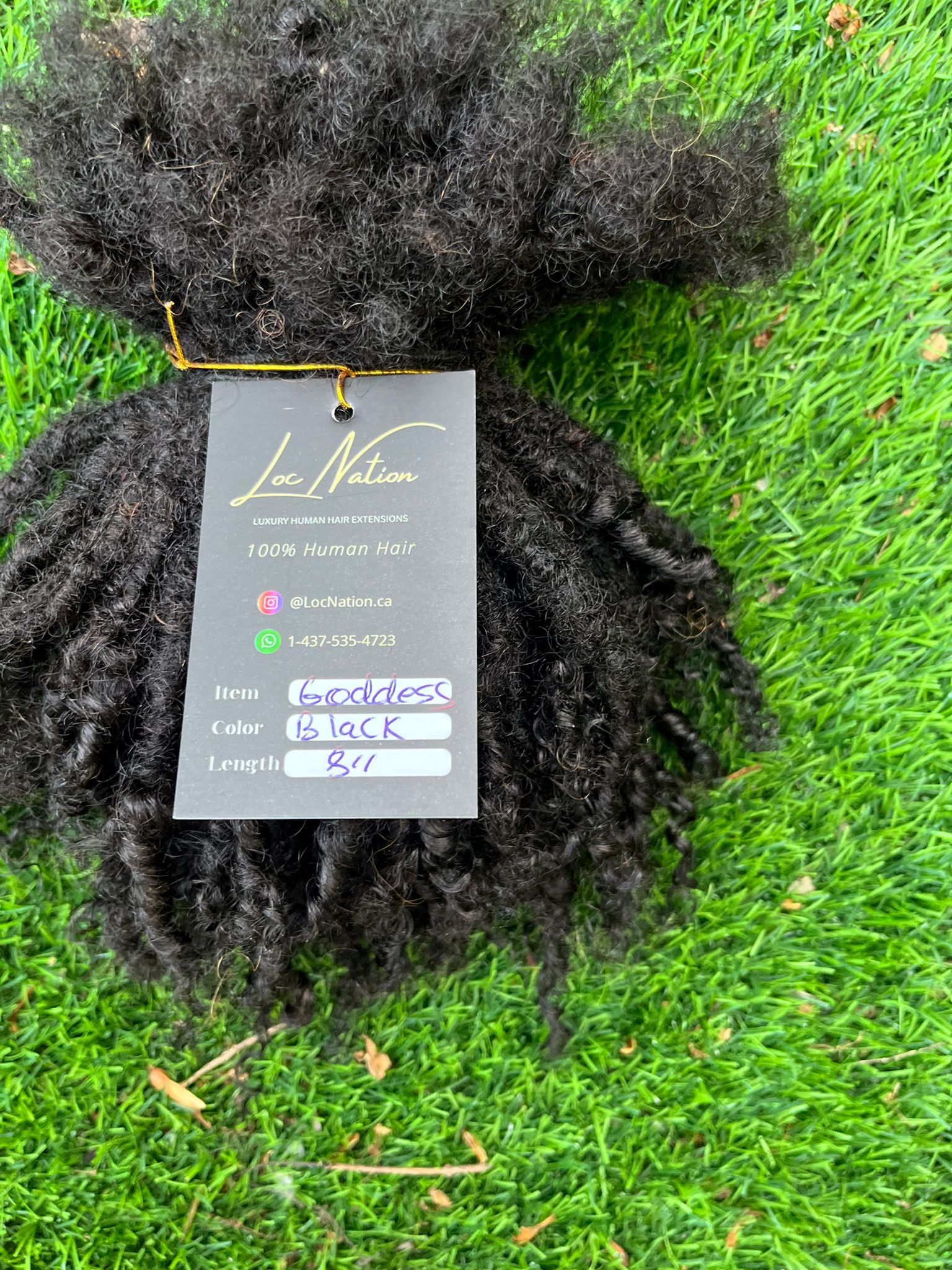 (100 Locs) Black Goddess Locs