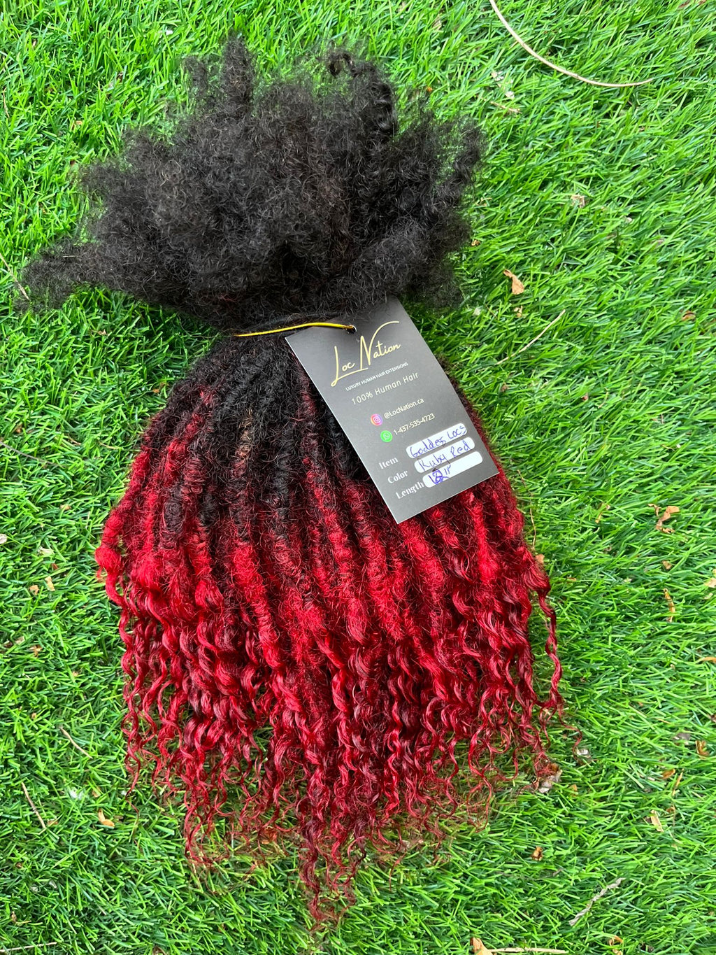 (80 Locs) Ruby Red Goddess Locs