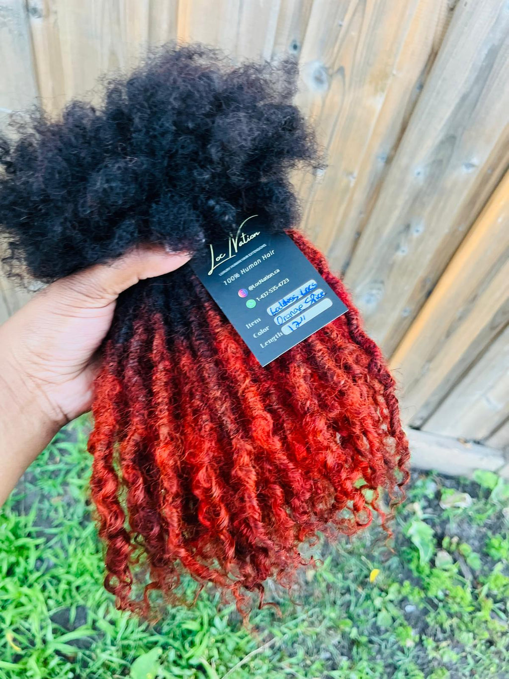 (80 Locs) Orange Spice Goddess Locs