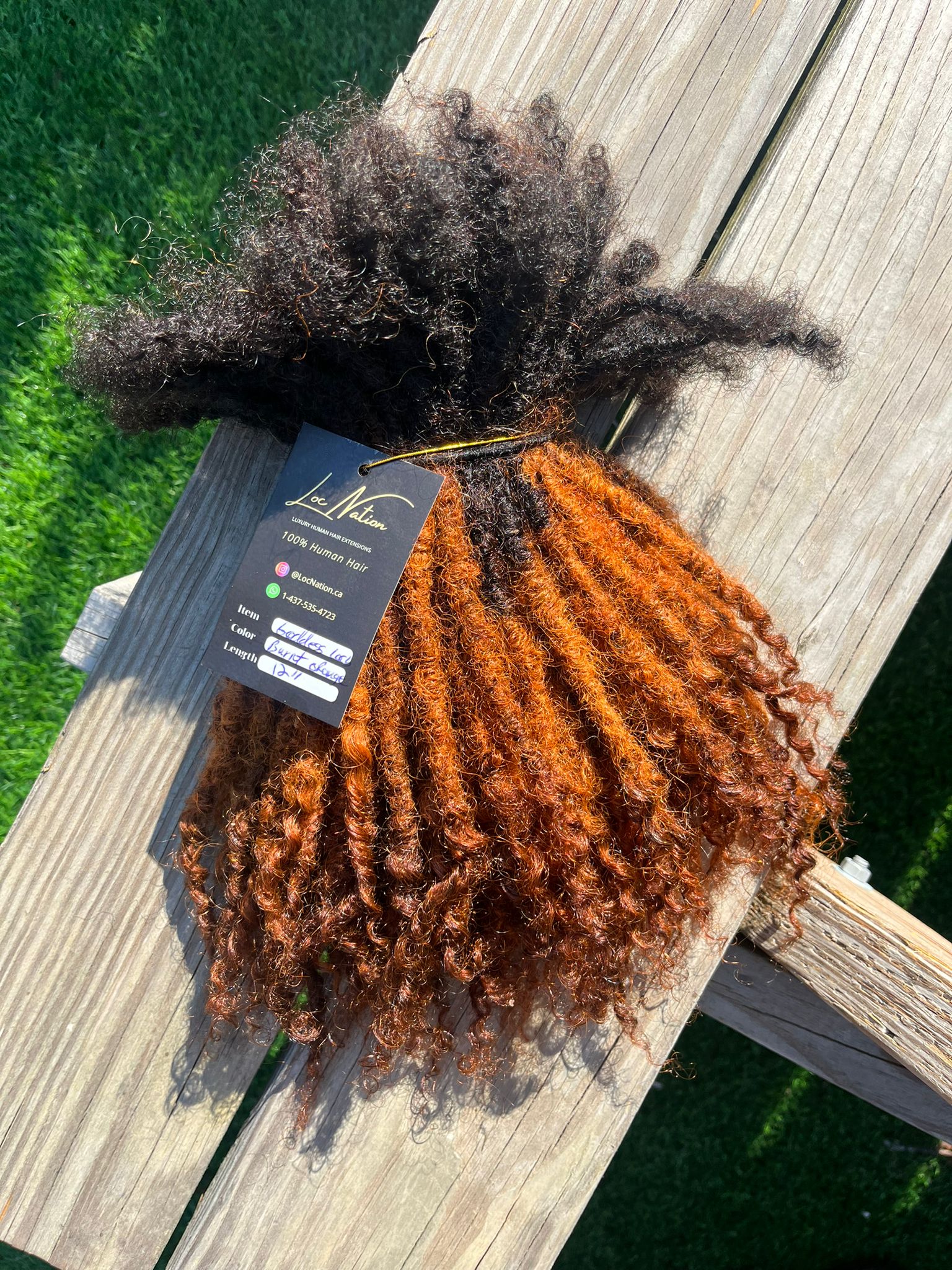 (100 Locs) Burnt Orange Goddess Locs