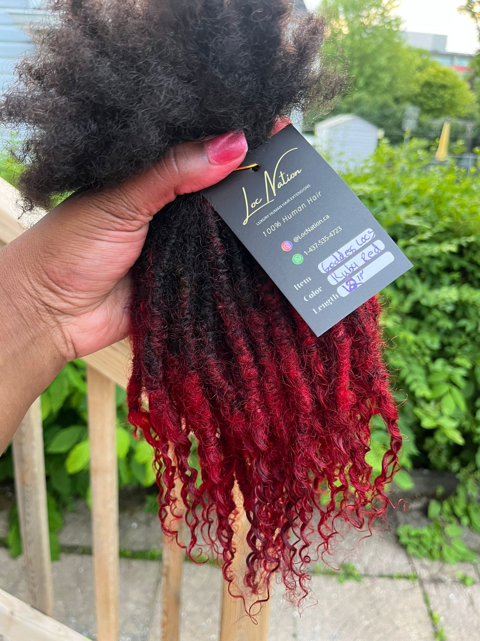 (100 Locs) Ruby Red Goddess Locs