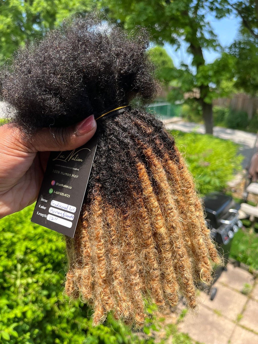 (100 Locs) Honey Blonde Traditional Locs